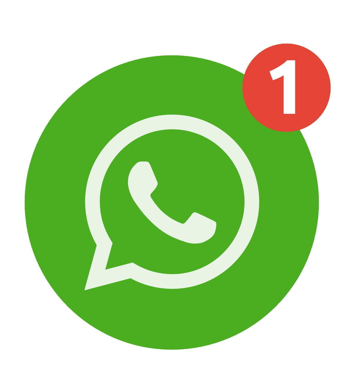whatsapp contact